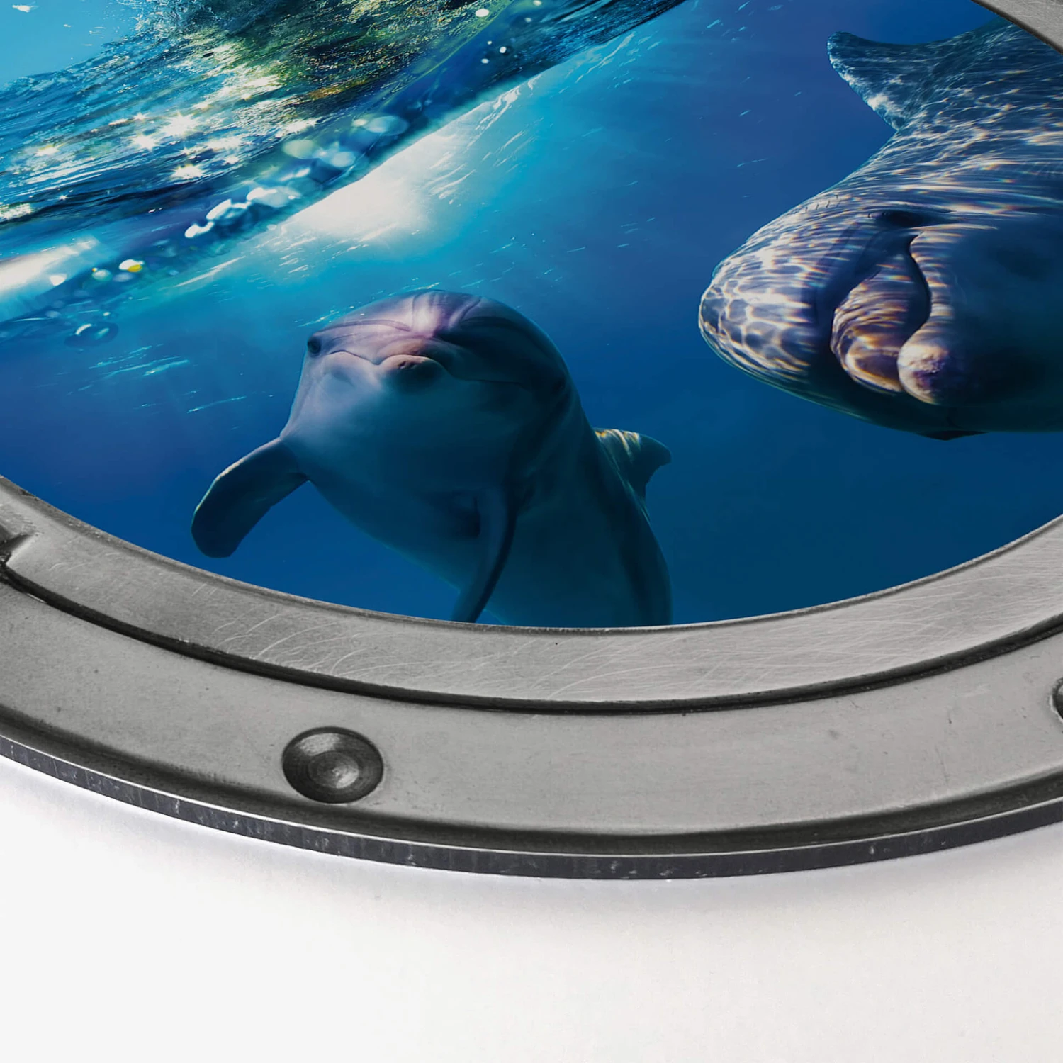Alu-Dibond Wall Circle 3D Optics - Dolphins Underwater - Image 3