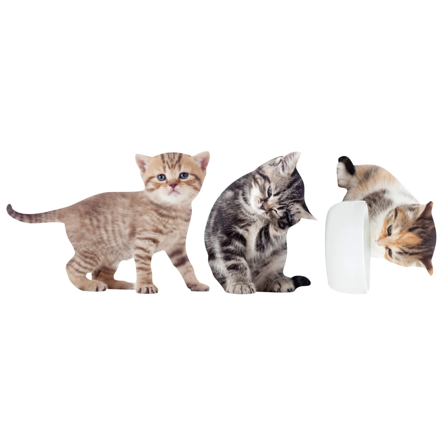 Cute Cat 01 Wall Sticker - Image 2