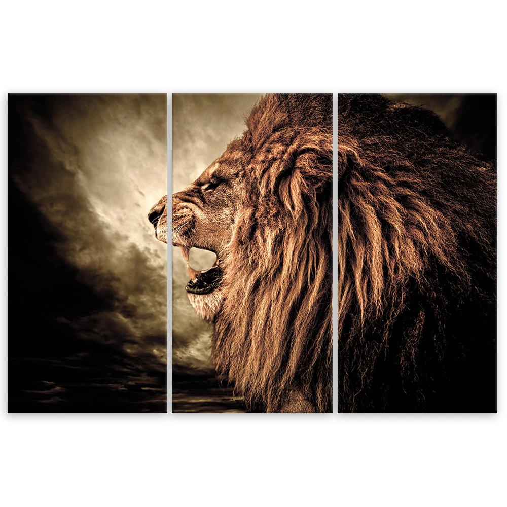 3 Piece Canvas Print, African Lion Animals Nature - Image 3