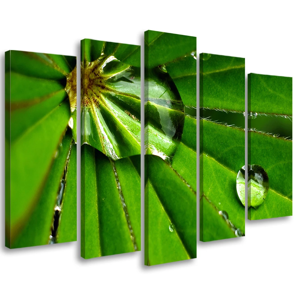 5 Piece Canvas Print, Leafy Rosy Drops