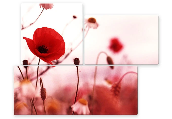 Poppy Impression Glass Art (3 Parts)