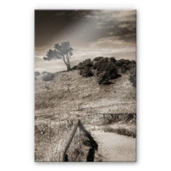 Acrylic Glass Landscape On Hiddensee