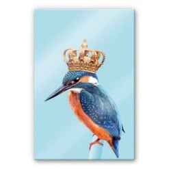 Acrylic Print Loose - Kingfisher
