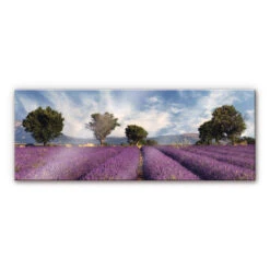 XXL Wall Picture Field Of Lavender - Panorama