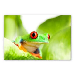 Acrylic Glass Jumping Cracker