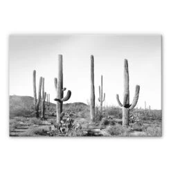 Acrylic Print Sisi & Seb - Cacti