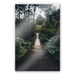 Acrylic Glass Forest Road