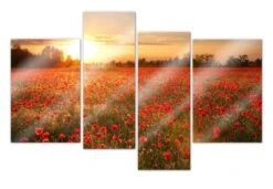 Acrylic Glass Field Of Poppies In The Sunset (4-parts)