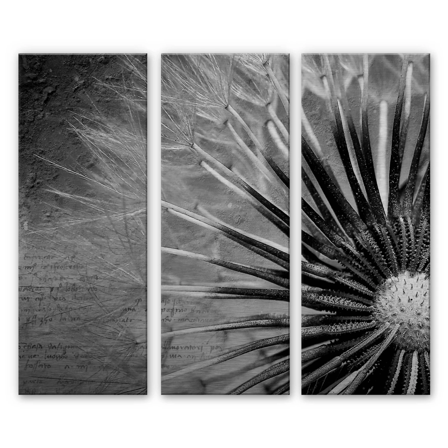 Dandelion Aluminium Print - Poetry (3-piece) - Image 3