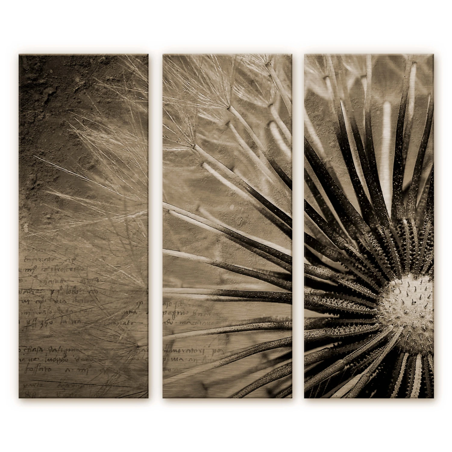Dandelion Aluminium Print - Poetry (3-piece) - Image 2