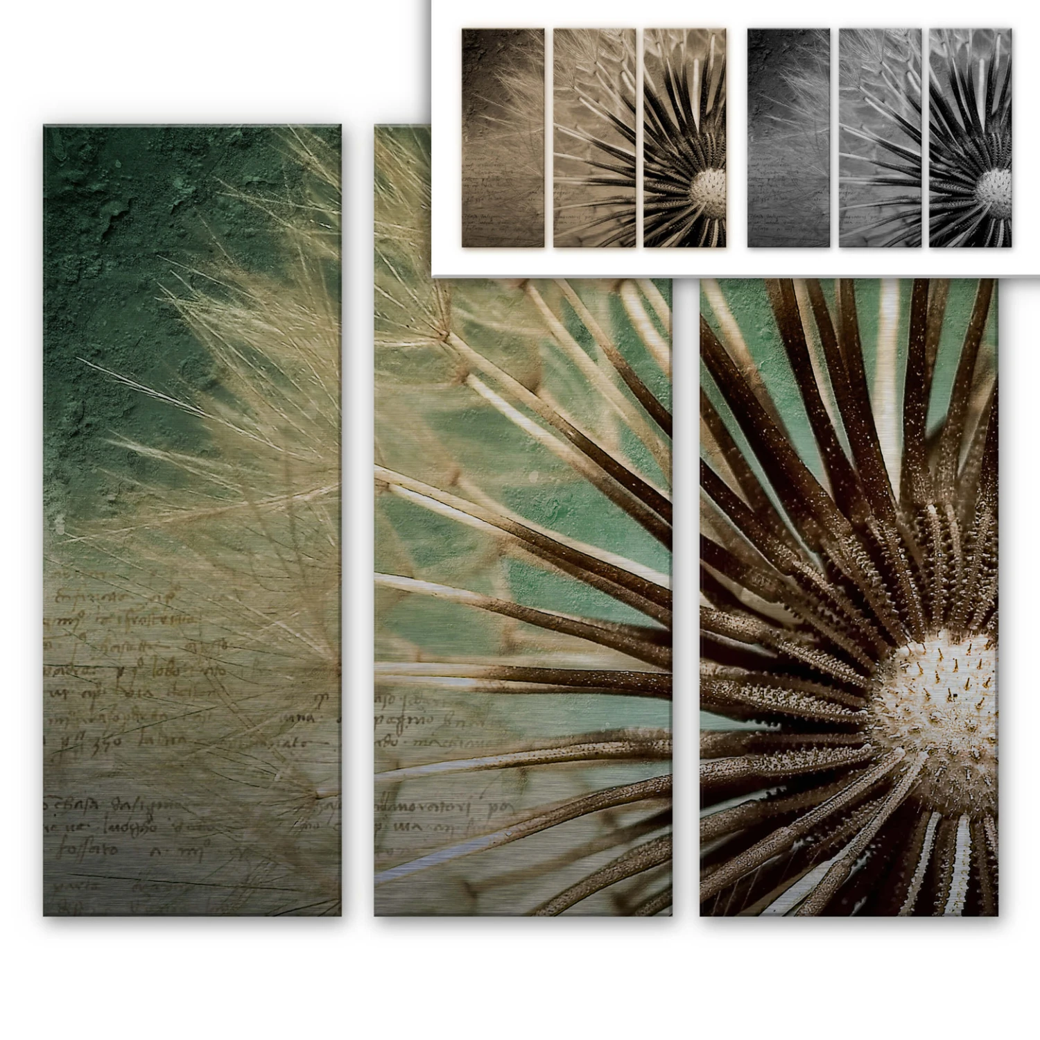 Dandelion Aluminium Print - Poetry (3-piece)