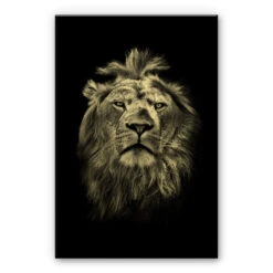 Aluminium Gold Effect - Lion