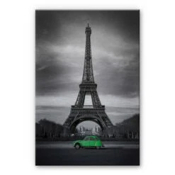 La Vie Est Belle Aluminium Print - Green