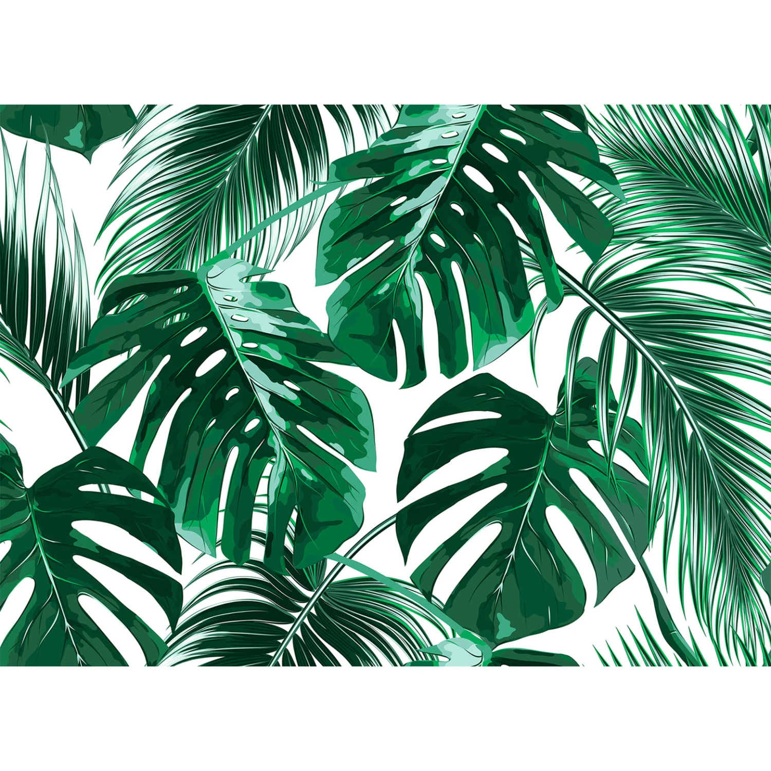 Designwalls Wallpaper In Green And White Non-woven Wallpaper Palm Leaves Palms 0 - Image 2