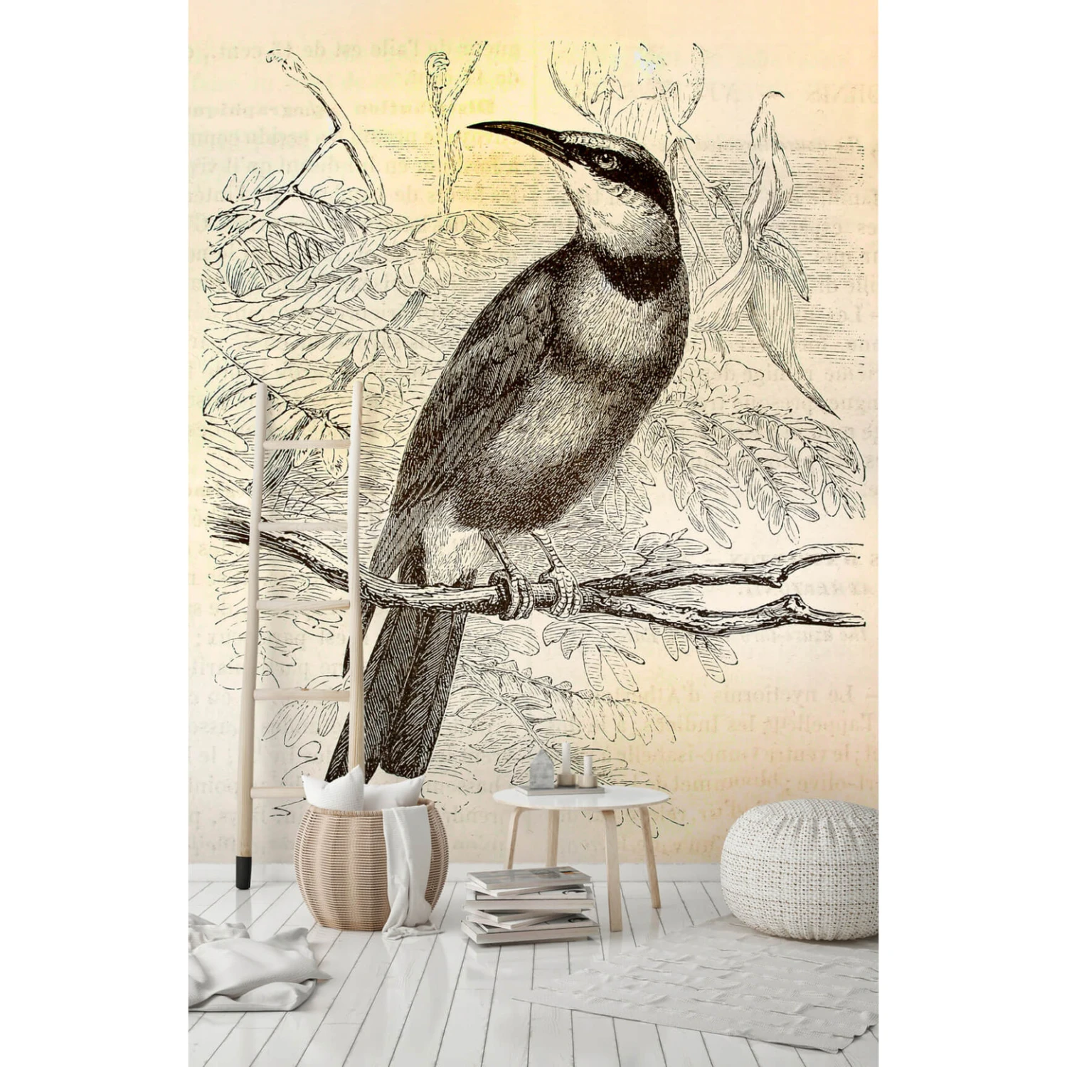 Livingwalls Photo Wallpaper Walls By Patel Vintage Birds 2