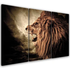3 Piece Canvas Print, African Lion Animals Nature