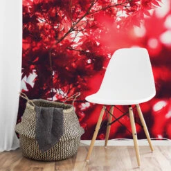 Maple Tree In Autumn - Photo Wallpaper