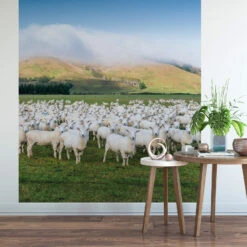 Photo Wallpaper Colombo - New Zealand Sheep