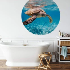 Round Wallpaper Traveling Turtle