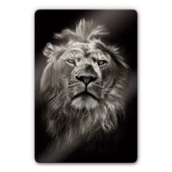 Lion Glass Art