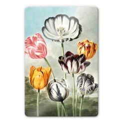 Thornton Tulips Glass Art