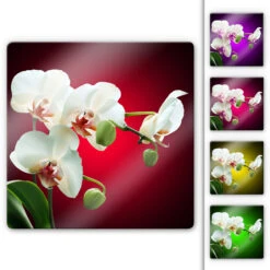 The Beauty Of An Orchid Glass Art - Square