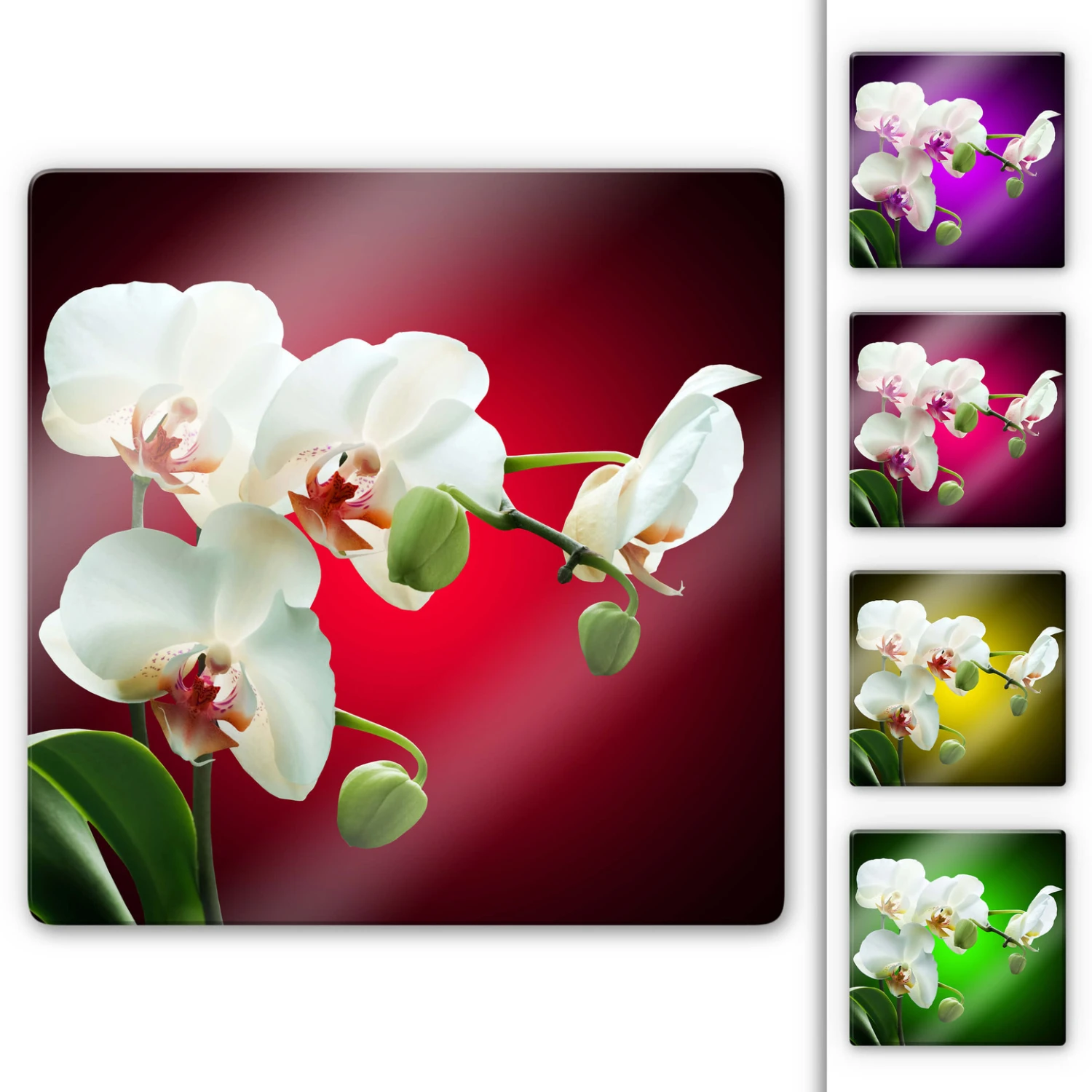 The Beauty Of An Orchid Glass Art - Square