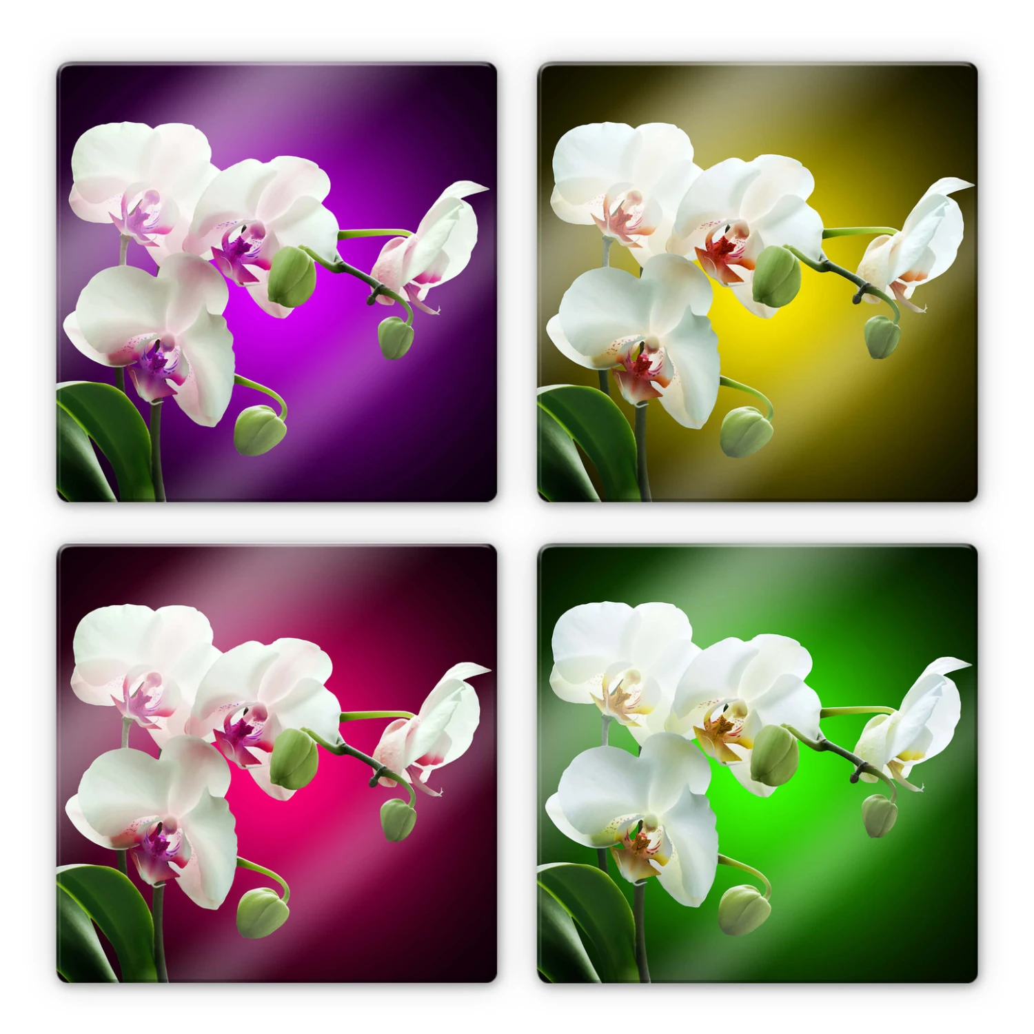 The Beauty Of An Orchid Glass Art - Square - Image 2