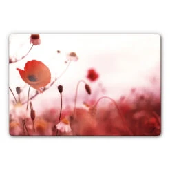 Poppy Impressions Glass Art