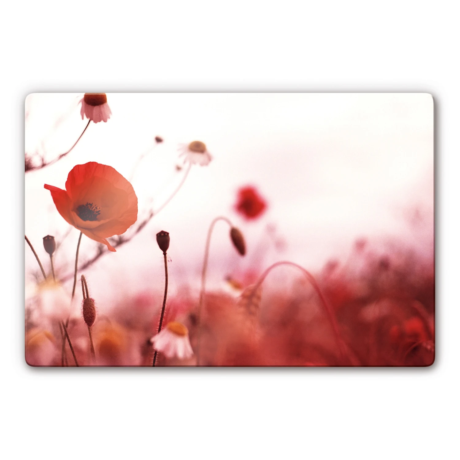 Poppy Impressions Glass Art