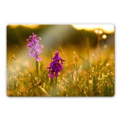 Flowers In Het Morning Dew Glass Art