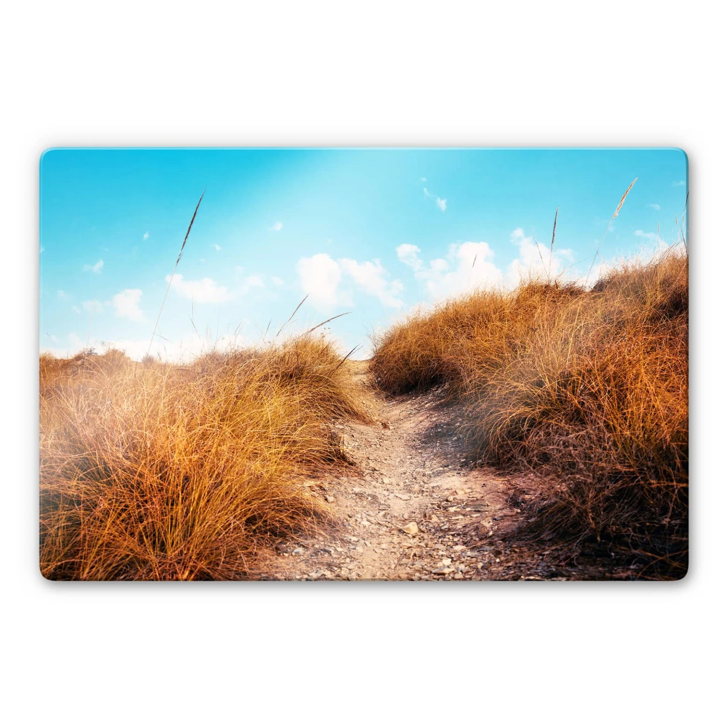 Beach Entrance Glass Art