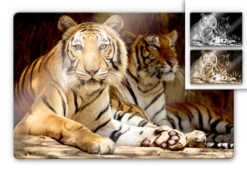 Two King Tigers Glass Art