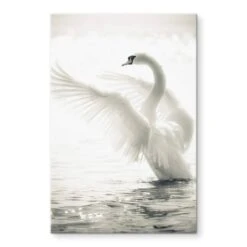 Proud Swan Glass Art