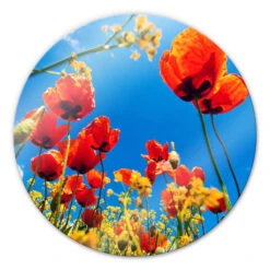 Poppies In Canola Field - Round Glass Art