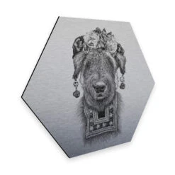 Hexagon - Alu-Dibond Silver Effect Kools - Suusi Kahlo