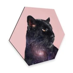 Hexagon - Alu-Dibond Loose - Galaxy Panther