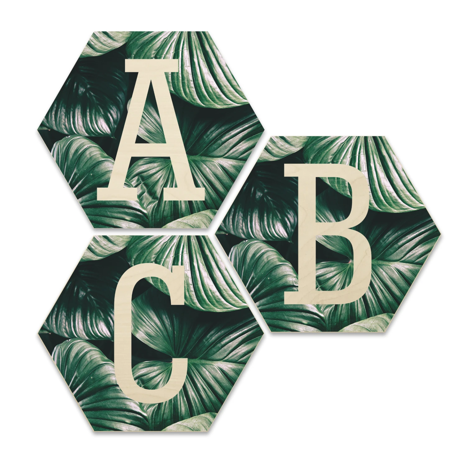 Hexagon - Birch Veneer - Urban Jungle Letters