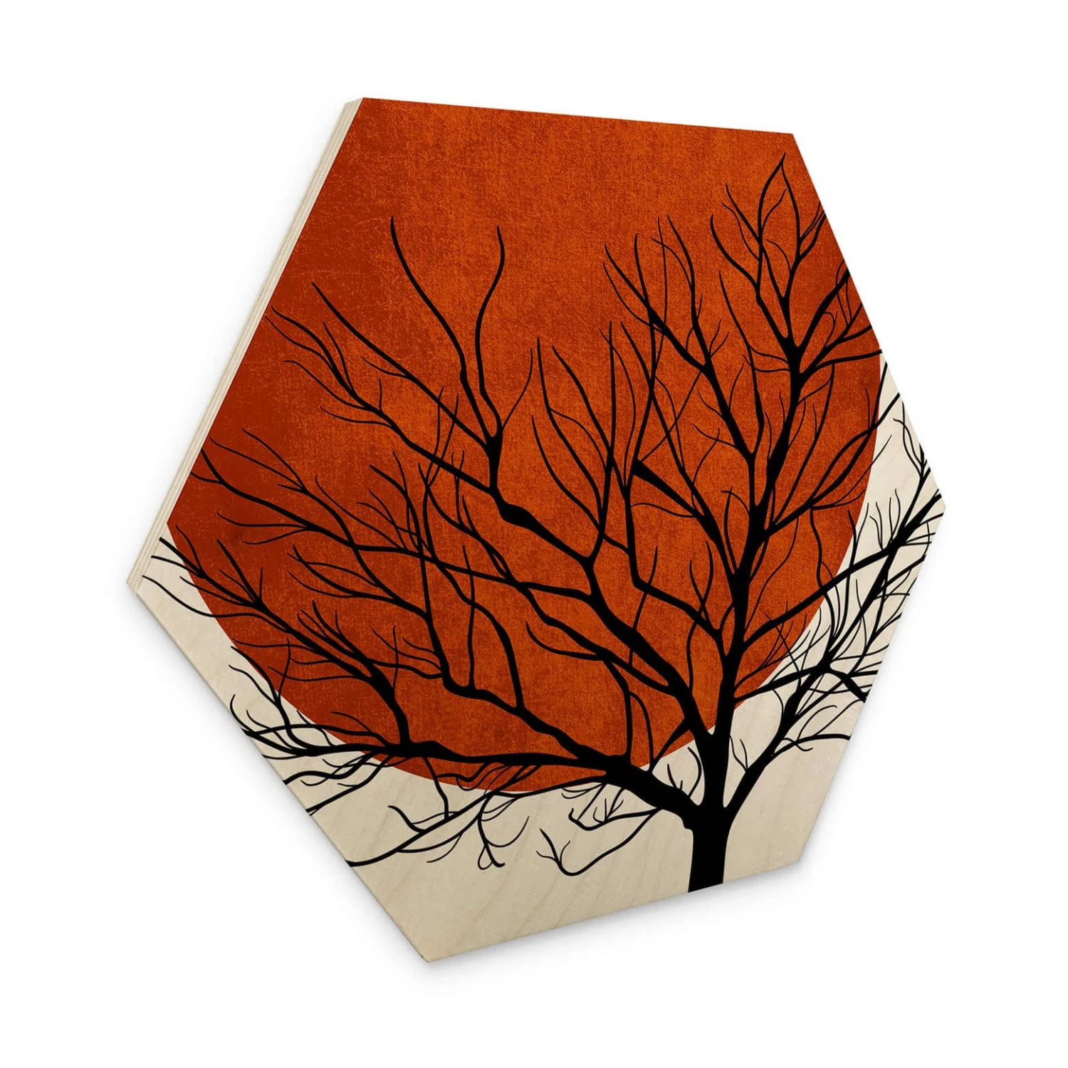 Hexagon Birch Veneer - Kubistika - Warm Sunset