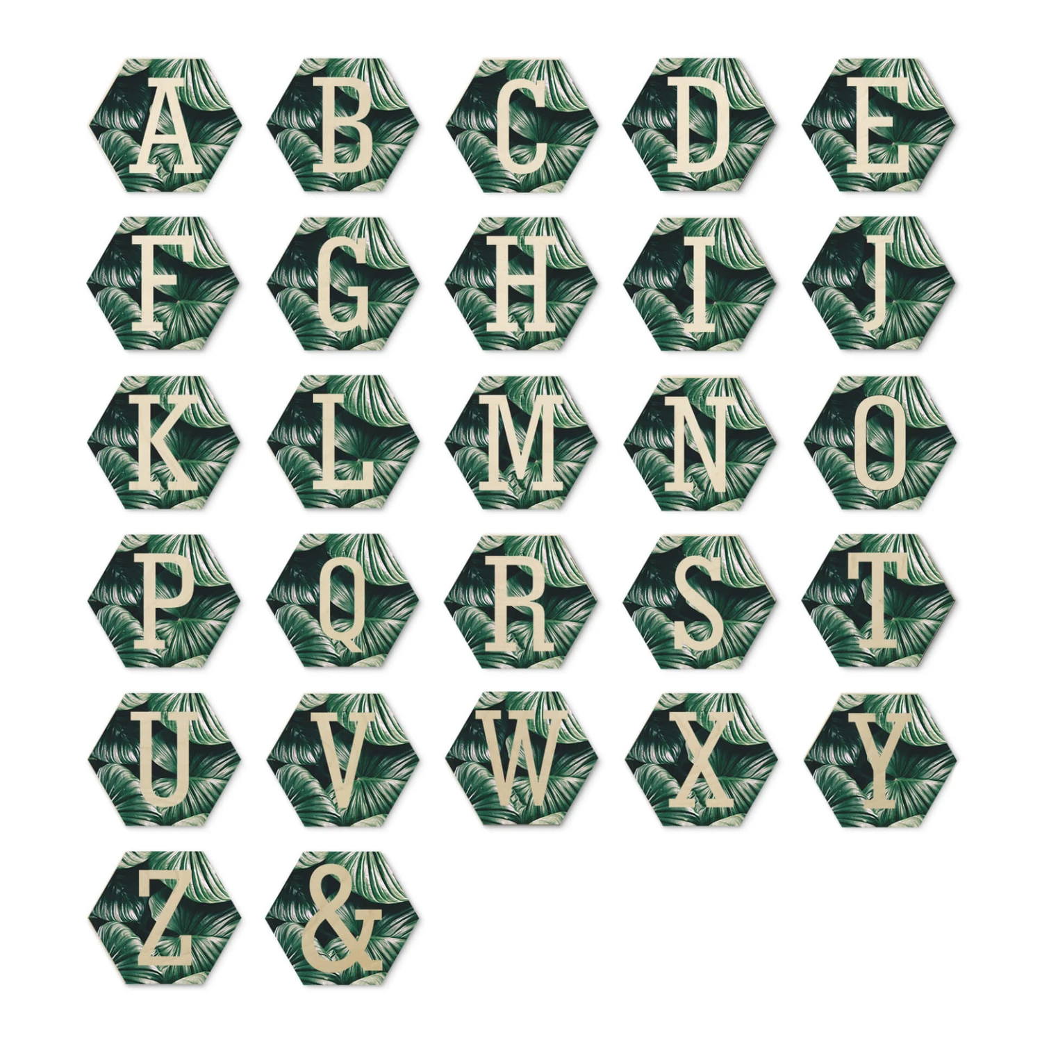 Hexagon - Birch Veneer - Urban Jungle Letters - Image 3