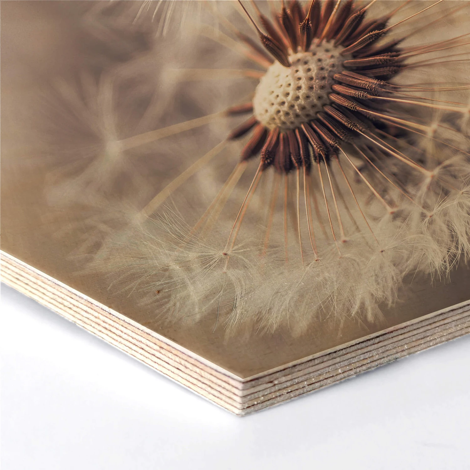 Hexagon Wood - Delgado - Dandelion - Image 2