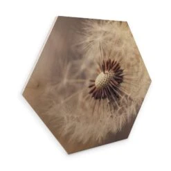 Hexagon Wood - Delgado - Dandelion