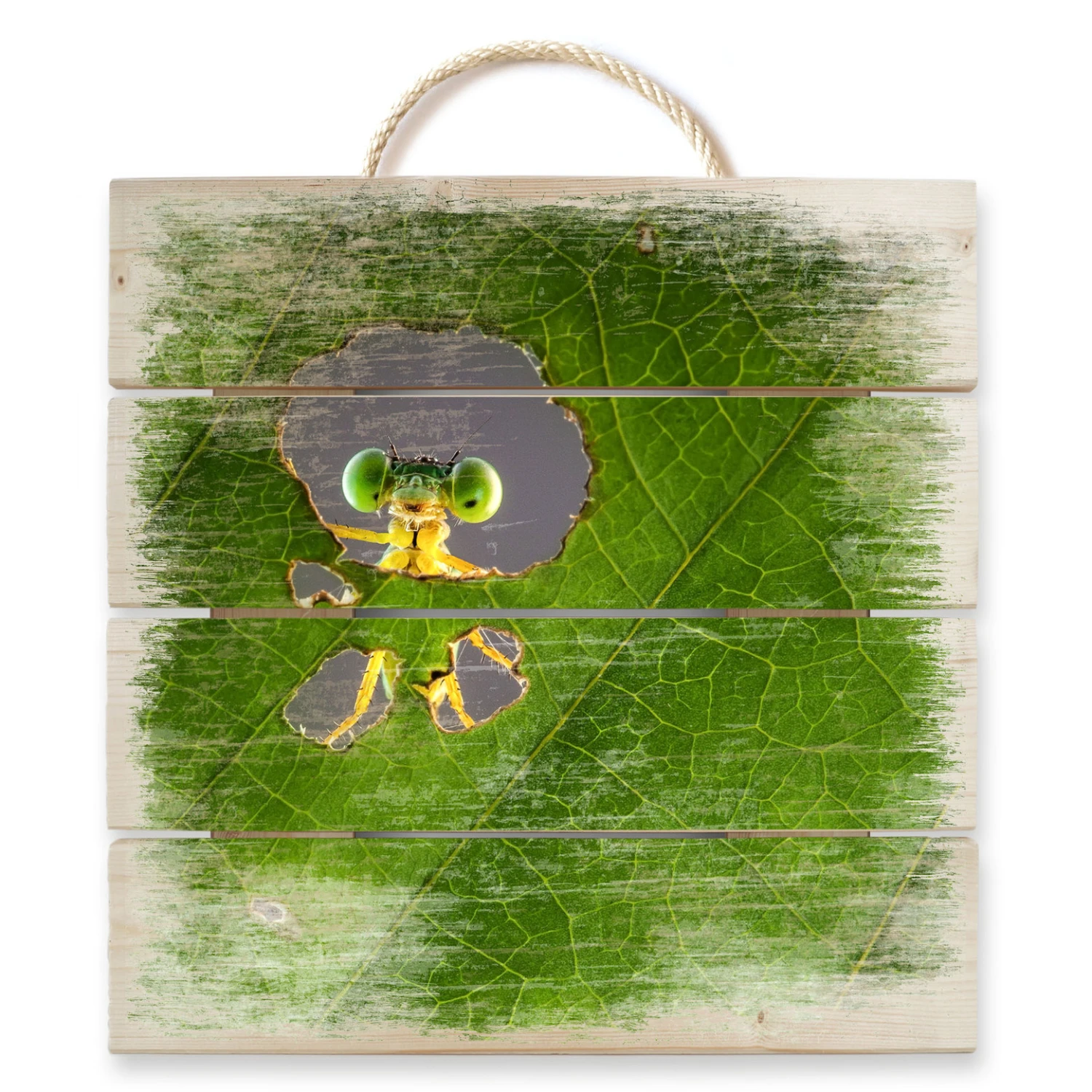 Hello Little Friend β Wood Print - Image 2