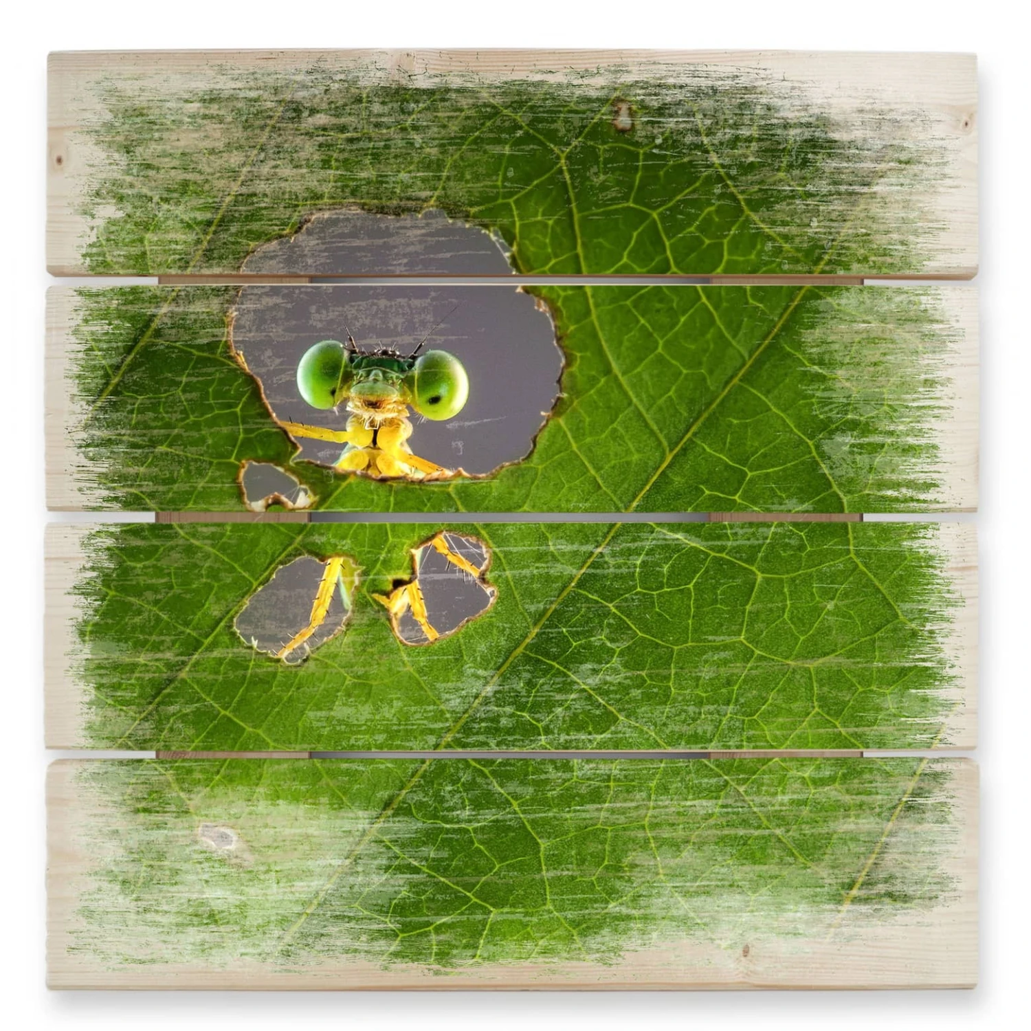 Hello Little Friend β Wood Print