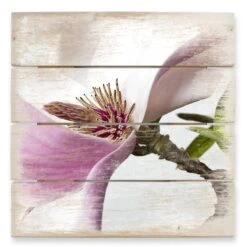 Magnolia - Wood Print
