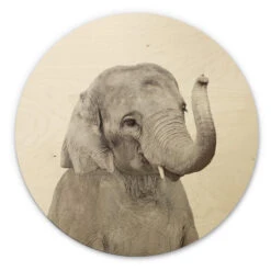 Wall Circle Wood Sisi & Seb - Baby Elephant