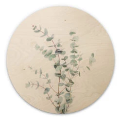 Wall Circle Wood Sisi & Seb - Eucalyptus Branch