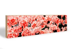 Key Holder - Home 2 + 5 Hooks