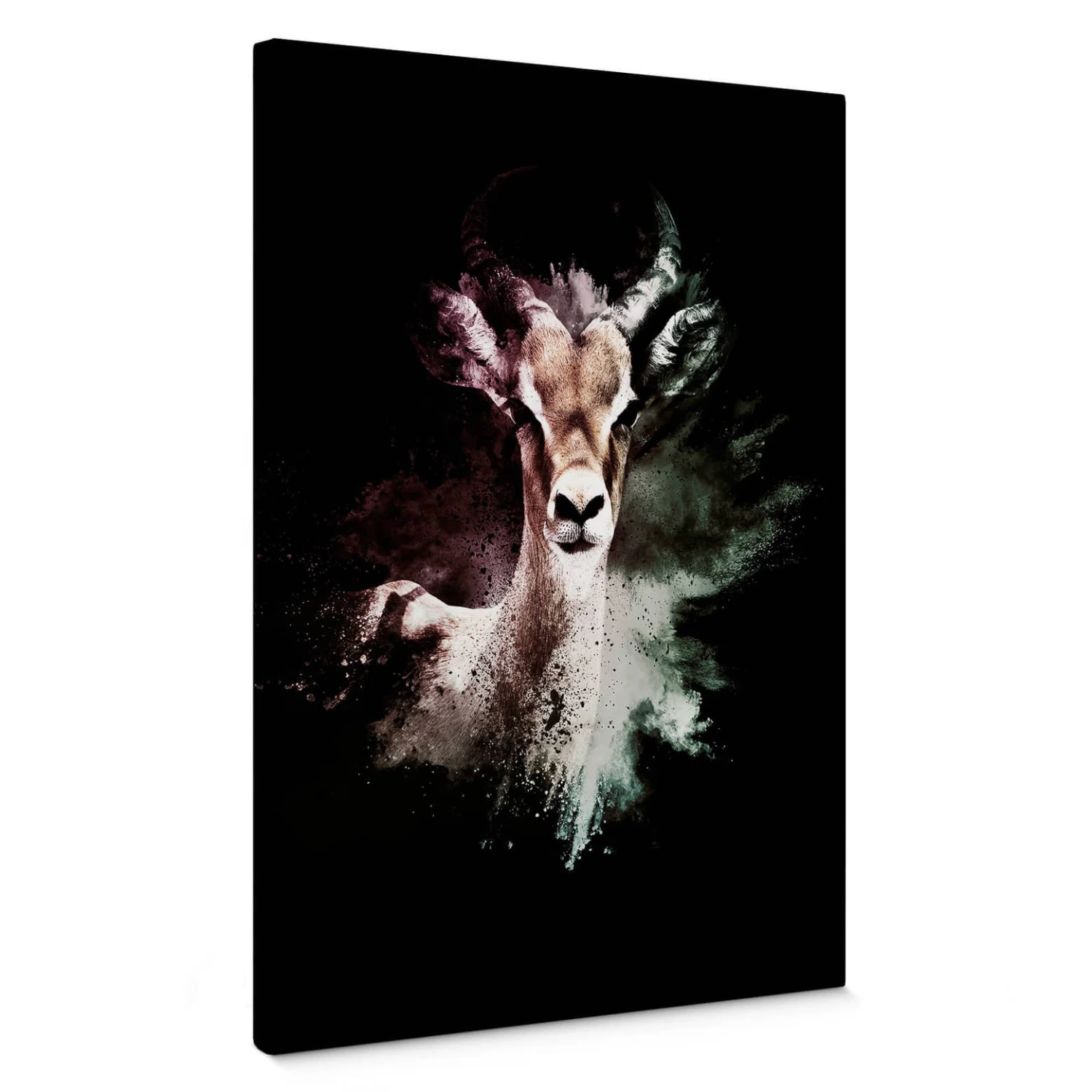 Canvas Print Hugonnard - Wild Explosion: Antilope