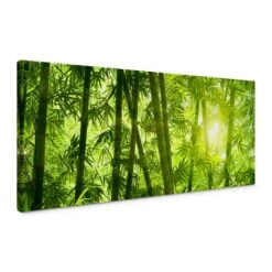 Sunshine In The Bamboo Forest Canvas Print Panorama